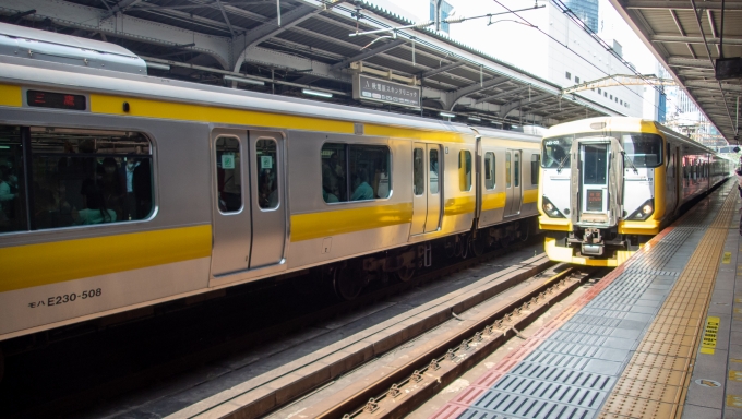 鉄道乗車記録の写真:乗車した列車(外観)(3)        「E257系の特急「新宿さざなみ」」