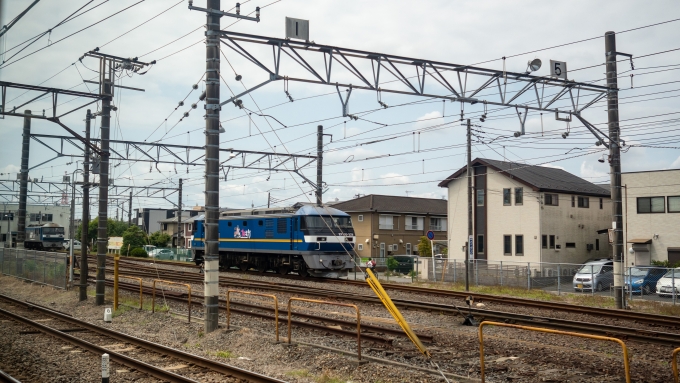 鉄道乗車記録の写真:車窓・風景(11)        「JR貨物の千葉機関区」