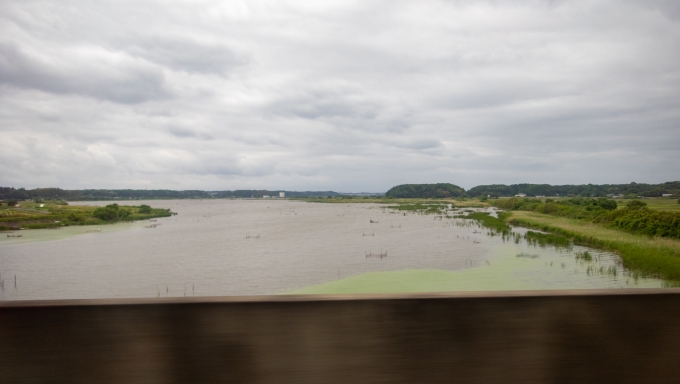 鉄道乗車記録の写真:車窓・風景(7)        「千葉県最大の湖沼「印旛沼」(北印旛沼)の細くなっている部分を渡ります。」