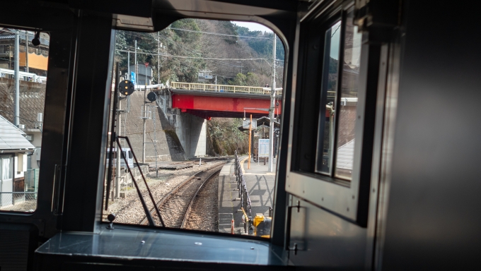 鉄道乗車記録の写真:車窓・風景(8)        「大歩危駅に到着。」