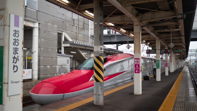 鉄道乗車記録の写真:乗車した列車(外観)(3)        「珍しい新幹線のスイッチバック駅」