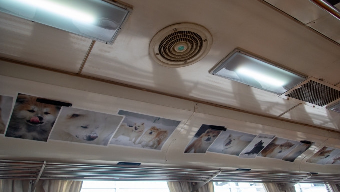 鉄道乗車記録の写真:車内設備、様子(3)        「車内天井には秋田犬の写真が所狭しと貼られています。」