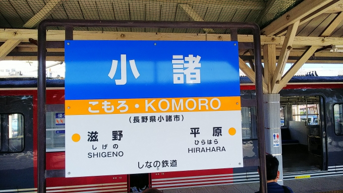 鉄道乗車記録の写真:駅名看板(2)        「ここからしなの鉄道で軽井沢へ」