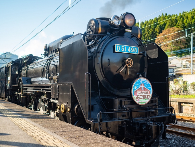 鉄道乗車記録の写真:乗車した列車(外観)(5)        「D51 498」