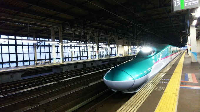 鉄道乗車記録の写真:乗車した列車(外観)(1)          「まずはやぶさに乗って仙台へ向かいます。」