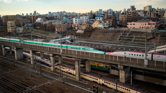 鉄道乗車記録の写真:列車・車両の様子(未乗車)(6)        「本線のE5系+E6系と車両基地へ戻るE2系+E3系」