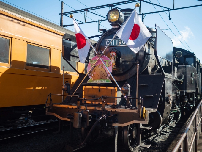 鉄道乗車記録の写真:乗車した列車(外観)(1)        「元旦からここに来た理由はこれ
「新春開運号」です
日の丸が誇らしげなC11 190　九州で活躍していた時代にお召列車の牽引実績もあります。」