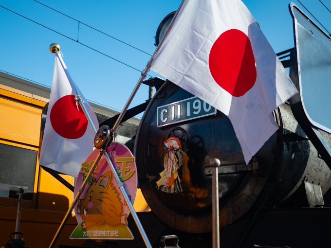 鉄道乗車記録の写真:ヘッドマーク(2)     「平成31年賀正のヘッドマーク
日の丸と正月飾りも合わせて、この列車でしか見られない勇姿です」