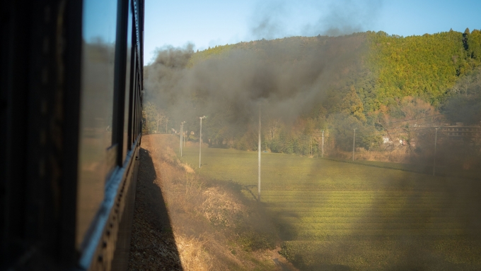 鉄道乗車記録の写真:車窓・風景(11)        「黒煙を上げながら茶畑の間を駆け上がります」