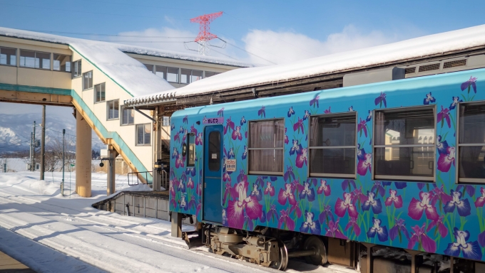 鉄道乗車記録の写真:列車・車両の様子(未乗車)(7)        「今泉駅ではフラワー長井線のあやめラッピング車輛が交換待ちしていました」