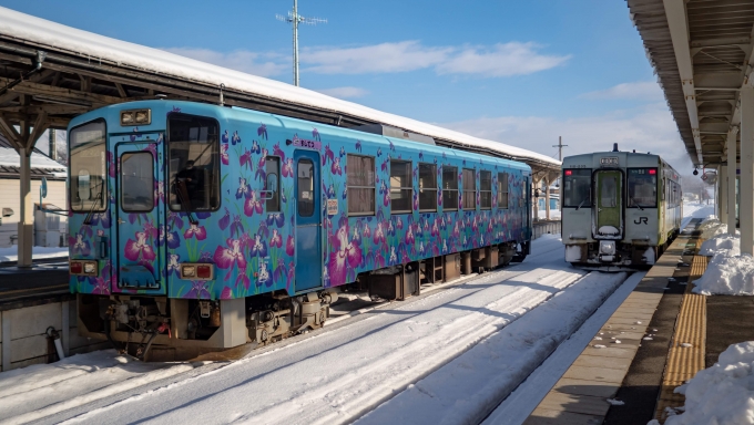鉄道乗車記録の写真:乗車した列車(外観)(8)        「JRキハ110-205と山形鉄道YR-886のツーショット」