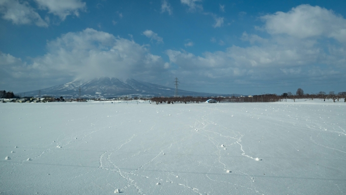 鉄道乗車記録の写真:車窓・風景(8)        「雪と風がつくる不思議な模様」