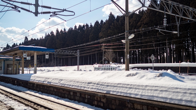 鉄道乗車記録の写真:駅舎・駅施設、様子(3)        「野辺地駅周辺には日本最古の鉄道防雪林が広がります」