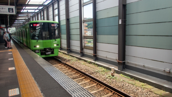 鉄道乗車記録の写真:乗車した列車(外観)(2)        「高尾山のラッピングが施された京王8000系に乗って高尾山へ。」