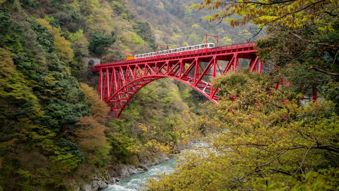 鉄道乗車記録の写真:列車・車両の様子(未乗車)(3)        「旧山彦橋までやって来ました。峡谷に赤い橋が映えます。
時刻表に無いこの列車は工事関係者用でしょうか。頭が下がる思いと共にちょっと羨ましかったりします。」