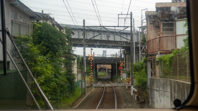 鉄道乗車記録の写真:車窓・風景(10)        「手前が東海道新幹線、先が東海道本線」