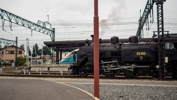 鉄道乗車記録の写真:乗車した列車(外観)(21)        「C11とスペーシア」