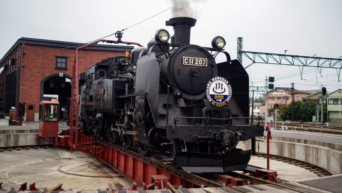鉄道乗車記録の写真:乗車した列車(外観)(22)        「向きを変え機関庫へ入っていきます」