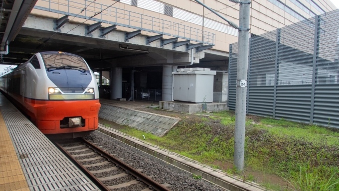 鉄道乗車記録の写真:乗車した列車(外観)(3)     「E751系の特急つがるに乗り込んで大館へ帰ります。」