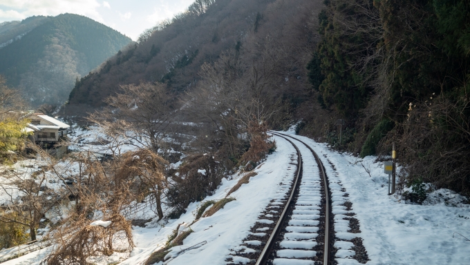 鉄道乗車記録の写真:車窓・風景(12)     「標高が上がるにつれて地面を覆う雪の量が増えてきます。」