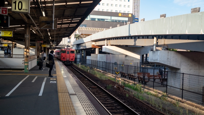 鉄道乗車記録の写真:乗車した列車(外観)(5)        「タラコ色のキハ47が入って来ました。」