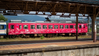 小出駅から宮内駅の乗車記録(乗りつぶし)写真