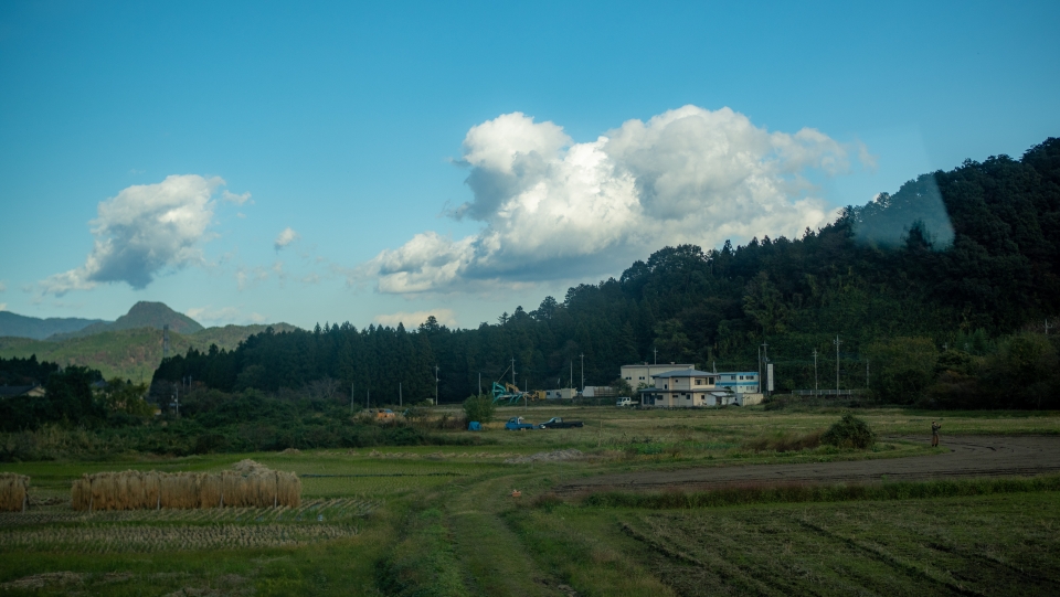 鉄道乗車記録「SL大樹3号」車窓・風景の写真(8) by くろまこ 撮影日時:2019年11月04日