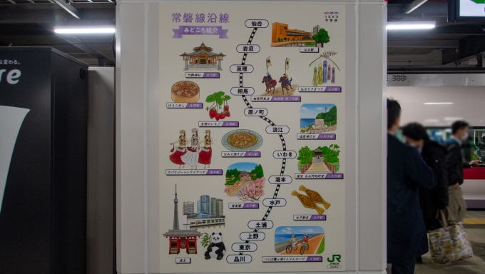鉄道乗車記録の写真:駅舎・駅施設、様子(2)        「仙台駅には、沿線の見どころが描かれた路線図が掲示されていました。」