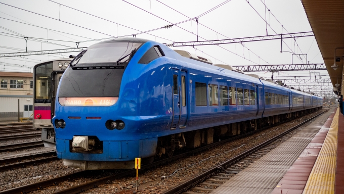 鉄道乗車記録の写真:列車・車両の様子(未乗車)(5)        「瑠璃色のE653系。」