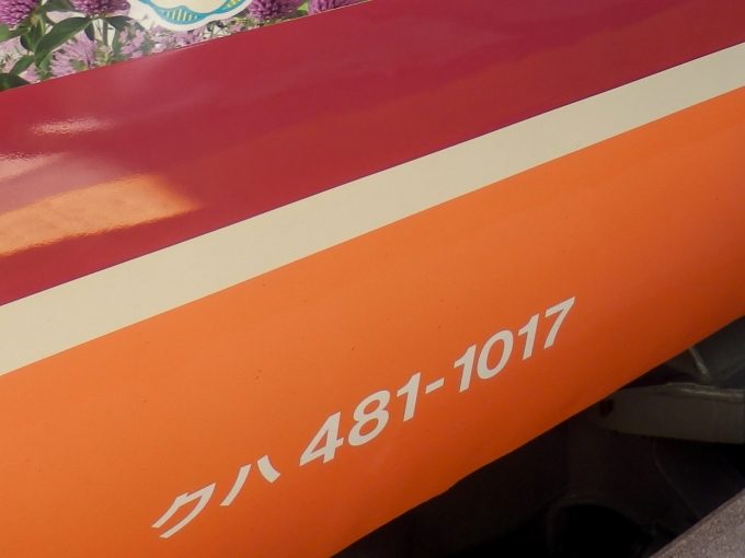 鉄道乗車記録の写真:車両銘板(2)     「クハ481-1017
JR東日本485系電車」