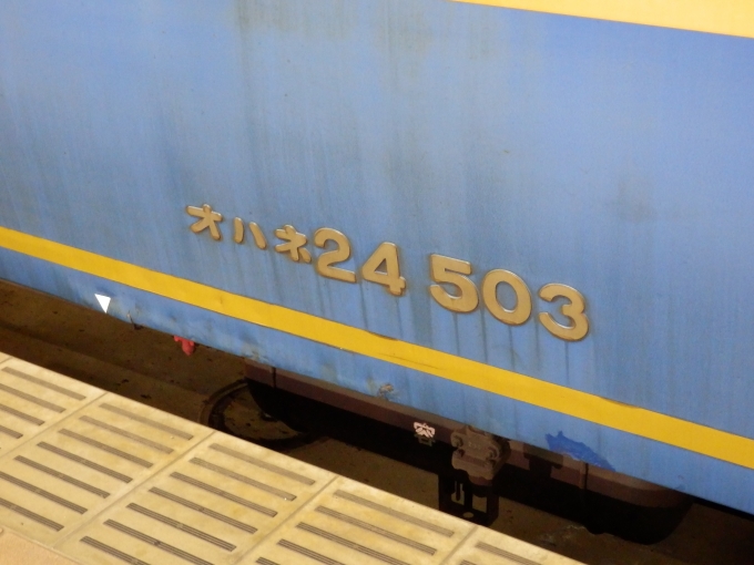 鉄道乗車記録の写真:車両銘板(3)     「オハネ24 503
JR北海道24系客車」