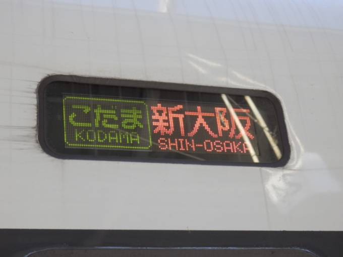鉄道乗車記録の写真:方向幕・サボ(2)        「「こだま　新大阪」
JR西日本500系新幹線電車」