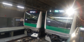 海老名駅から羽沢横浜国大駅の乗車記録(乗りつぶし)写真