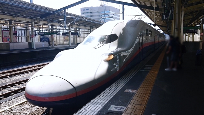 鉄道乗車記録の写真:乗車した列車(外観)(1)          「高崎駅にて。
あまりの大きさにビックリしました。
もう乗れなくなって悲しいと思いつつ乗車。
20分ほどの乗車でしたが、二階建て車両を満喫できてよかったです！」