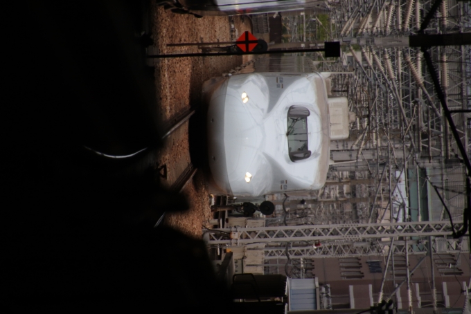 鉄道乗車記録の写真:乗車した列車(外観)(1)     「本当は800系に乗りたかったけど、乗ったことのある700系の切符を取っていました^_^;」