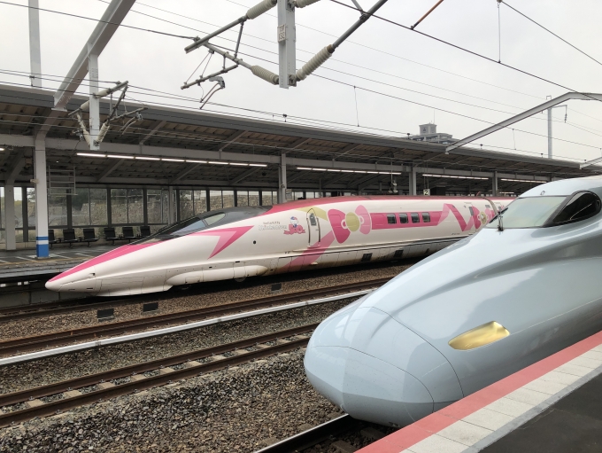鉄道乗車記録の写真:旅の思い出(1)        「福山駅で降車するとキティ新幹線が止まっていました。」