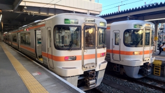 中部天竜駅から豊橋駅の乗車記録(乗りつぶし)写真