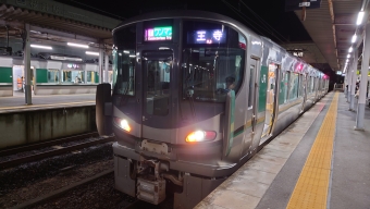 天理駅から桜井駅の乗車記録(乗りつぶし)写真