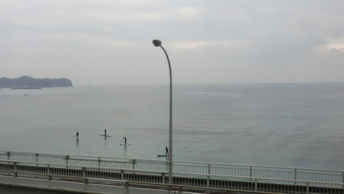 鉄道乗車記録の写真:車窓・風景(4)        「勝浦湾」