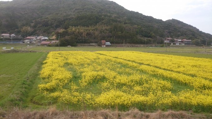 鉄道乗車記録の写真:車窓・風景(7)        