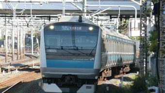 与野駅から南浦和駅の乗車記録(乗りつぶし)写真