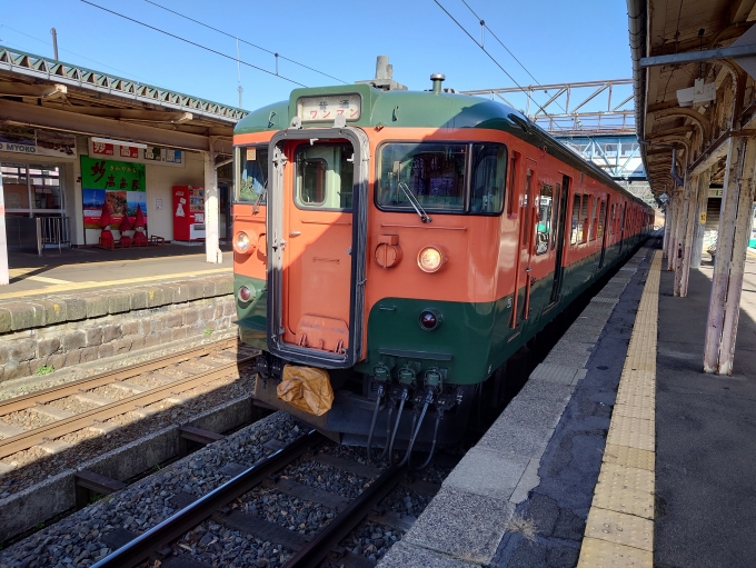 鉄道乗車記録の写真:乗車した列車(外観)(1)     「湘南色」