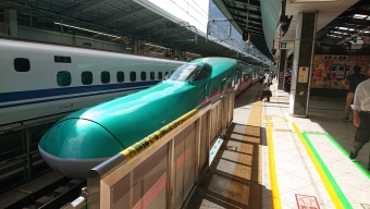 東京駅から新函館北斗駅の乗車記録(乗りつぶし)写真