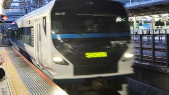 大崎駅から茅ケ崎駅の乗車記録(乗りつぶし)写真