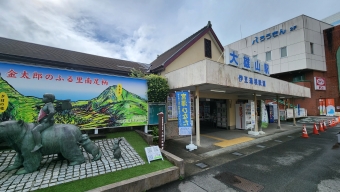 大雄山駅から小田原駅の乗車記録(乗りつぶし)写真