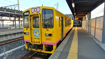 諫早駅から島原港駅の乗車記録(乗りつぶし)写真