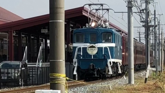 鉄道乗車記録の写真:列車・車両の様子(未乗車)(2)        「ELパレオエクスプレス」