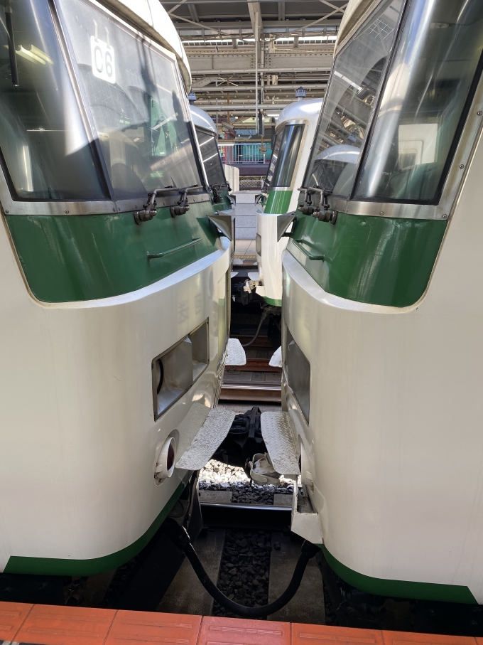 鉄道乗車記録の写真:乗車した列車(外観)(1)          「踊り子2号の連結面」