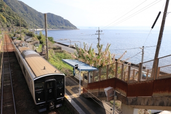 竜ケ水駅から鹿児島中央駅の乗車記録(乗りつぶし)写真