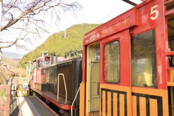 トロッコ亀岡駅からトロッコ保津峡駅の乗車記録(乗りつぶし)写真